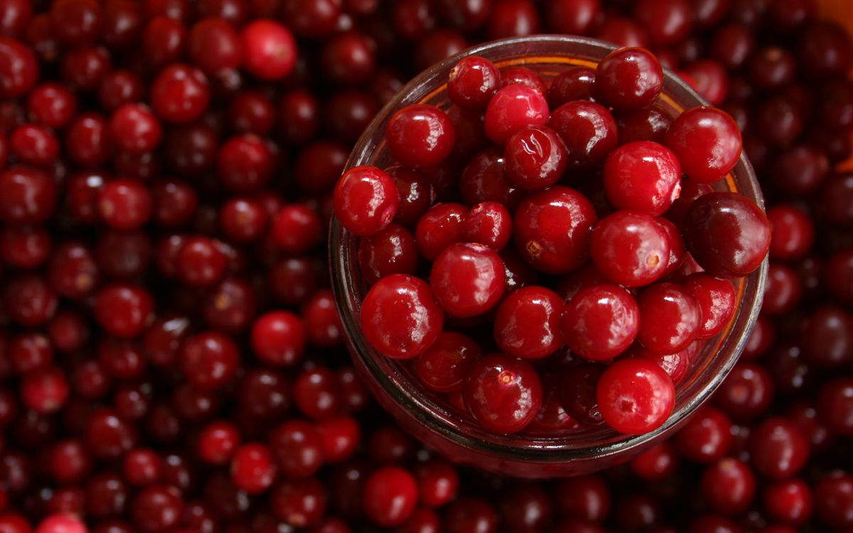 Fresh cranberries piled in and around a glass jar, the fruit behind Ocean Spray's three fall drops